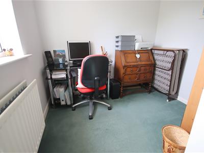 Picture 14
